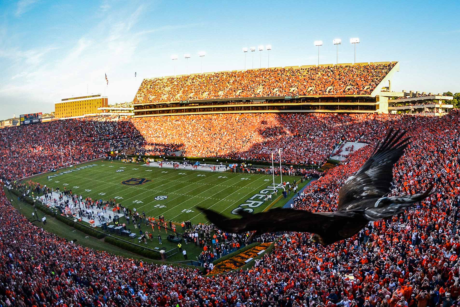 LSU_Spirit_Jordan_Hare_Stadium - Rolling Oaks Clothing Co.